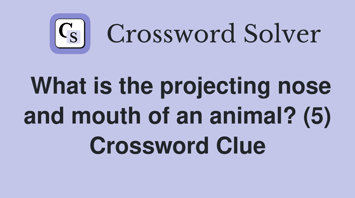 What is the projecting nose and mouth of an animal? (5) Crossword